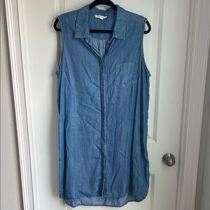 BeachLunchLounge Chambray Button Dress